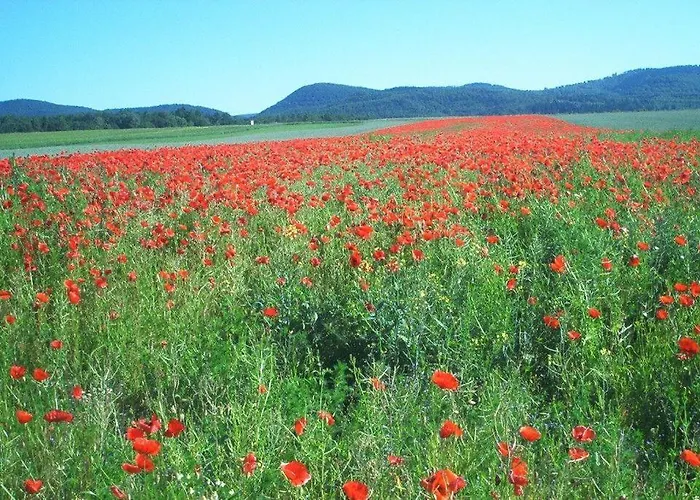 Ferienwohnung-stricker-1-1 * Walkenried