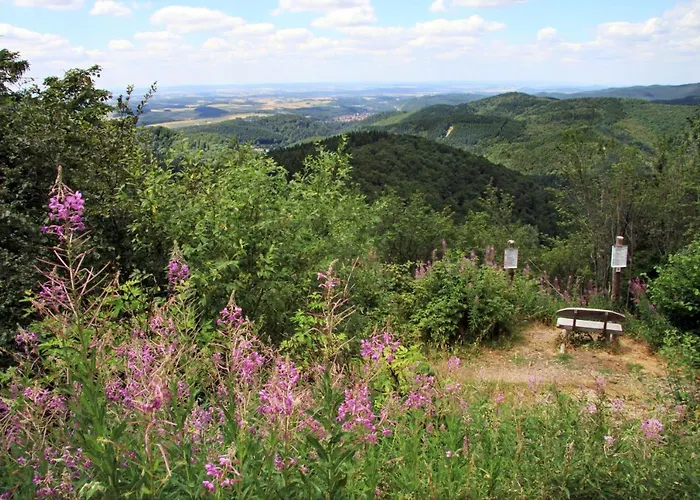 Ferienwohnung-stricker-1-1 Apartamento Walkenried